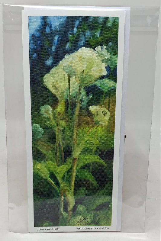 Art Cards - Cow Parsnip Study