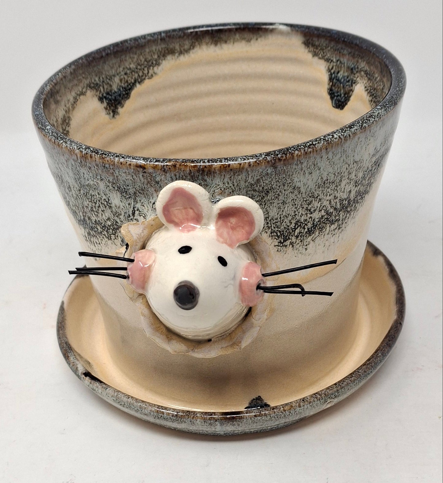 Plant Pot with mice