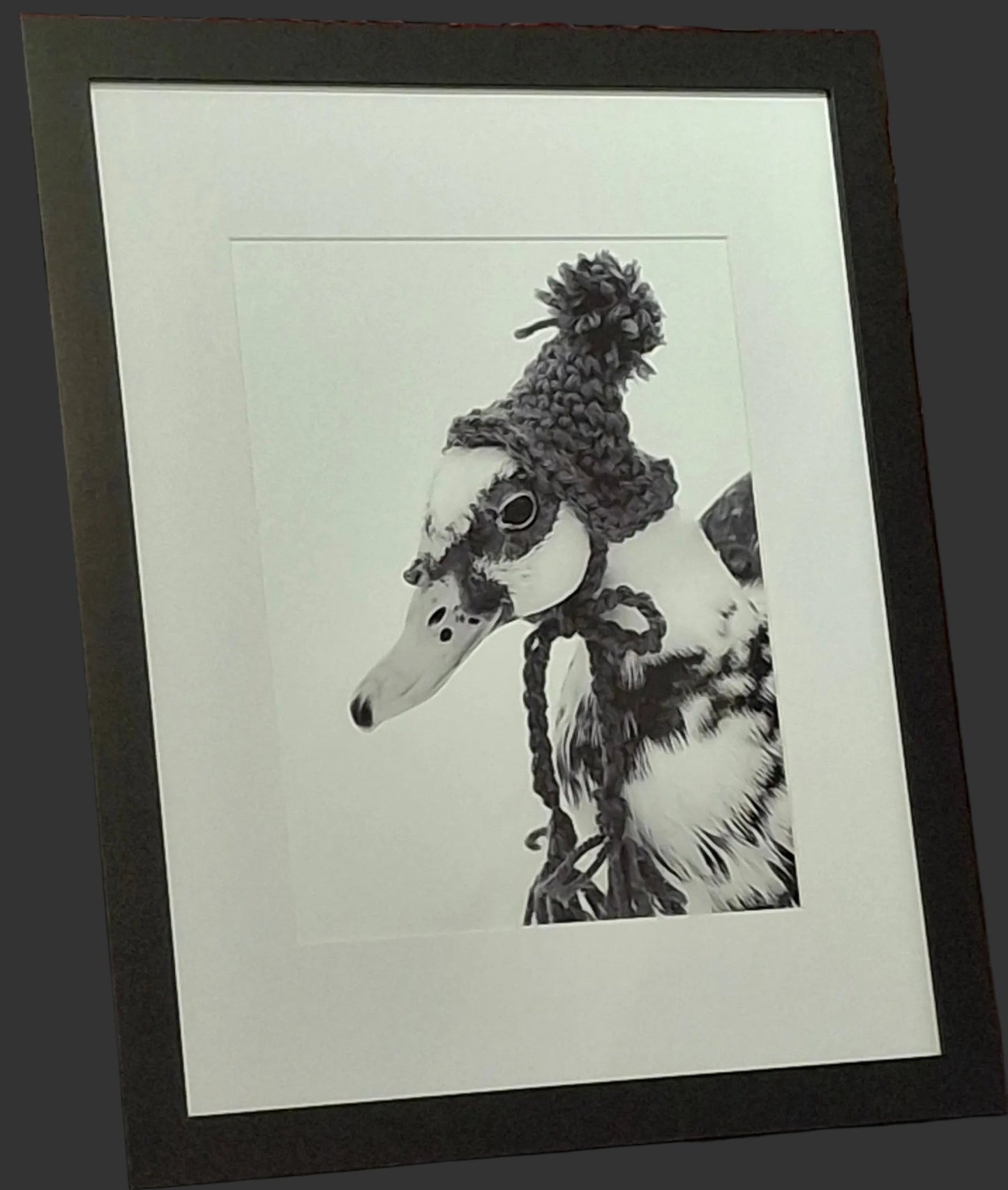 Duck in a hat