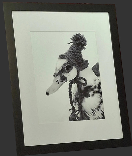 Duck in a hat