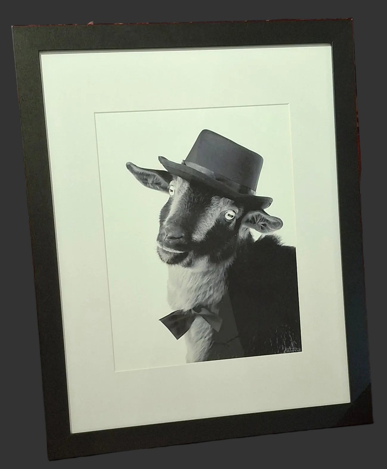 Goat with a Top Hat