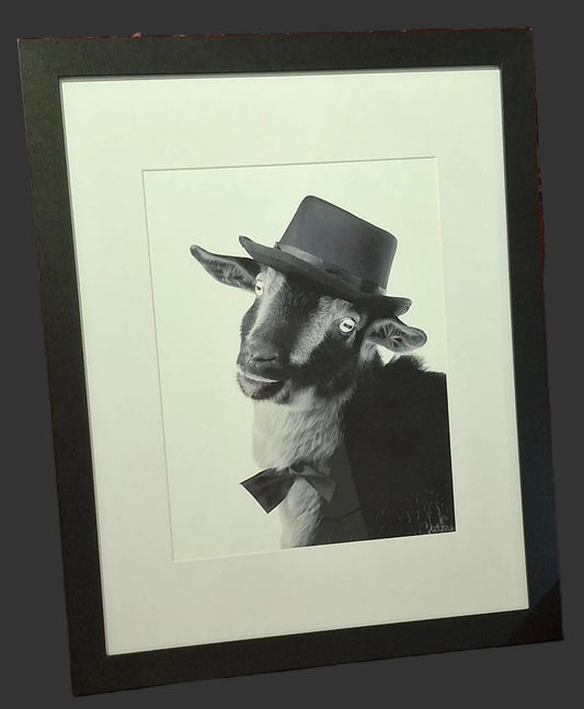 Goat with a Top Hat