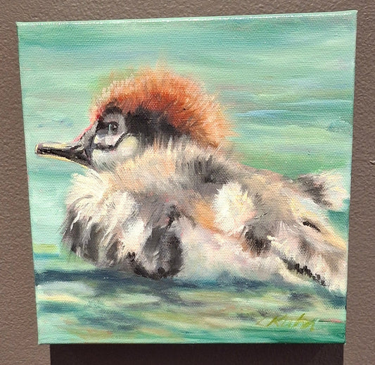 BABY MERGANSER - Oil Painting