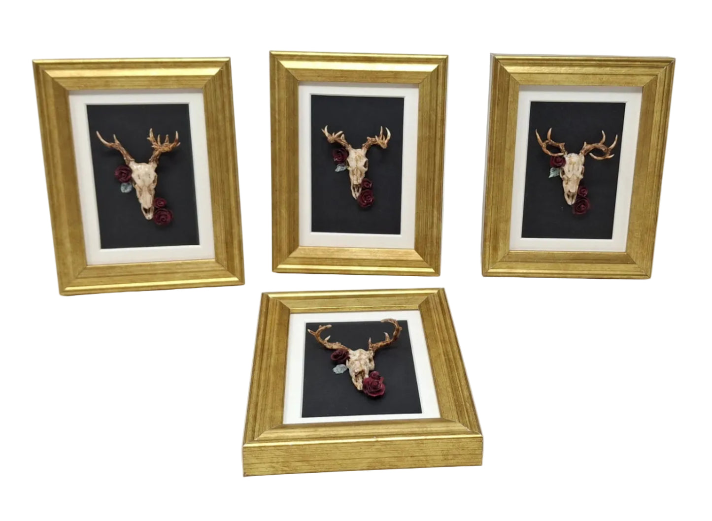 Framed Skulls with Flowers