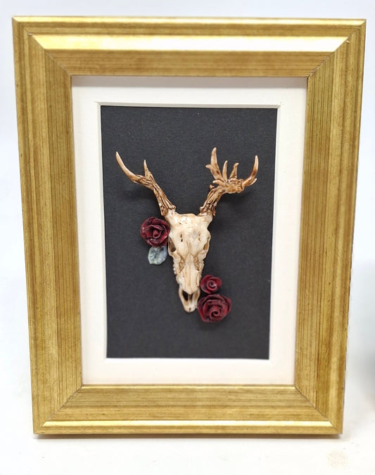 Framed Skulls with Flowers