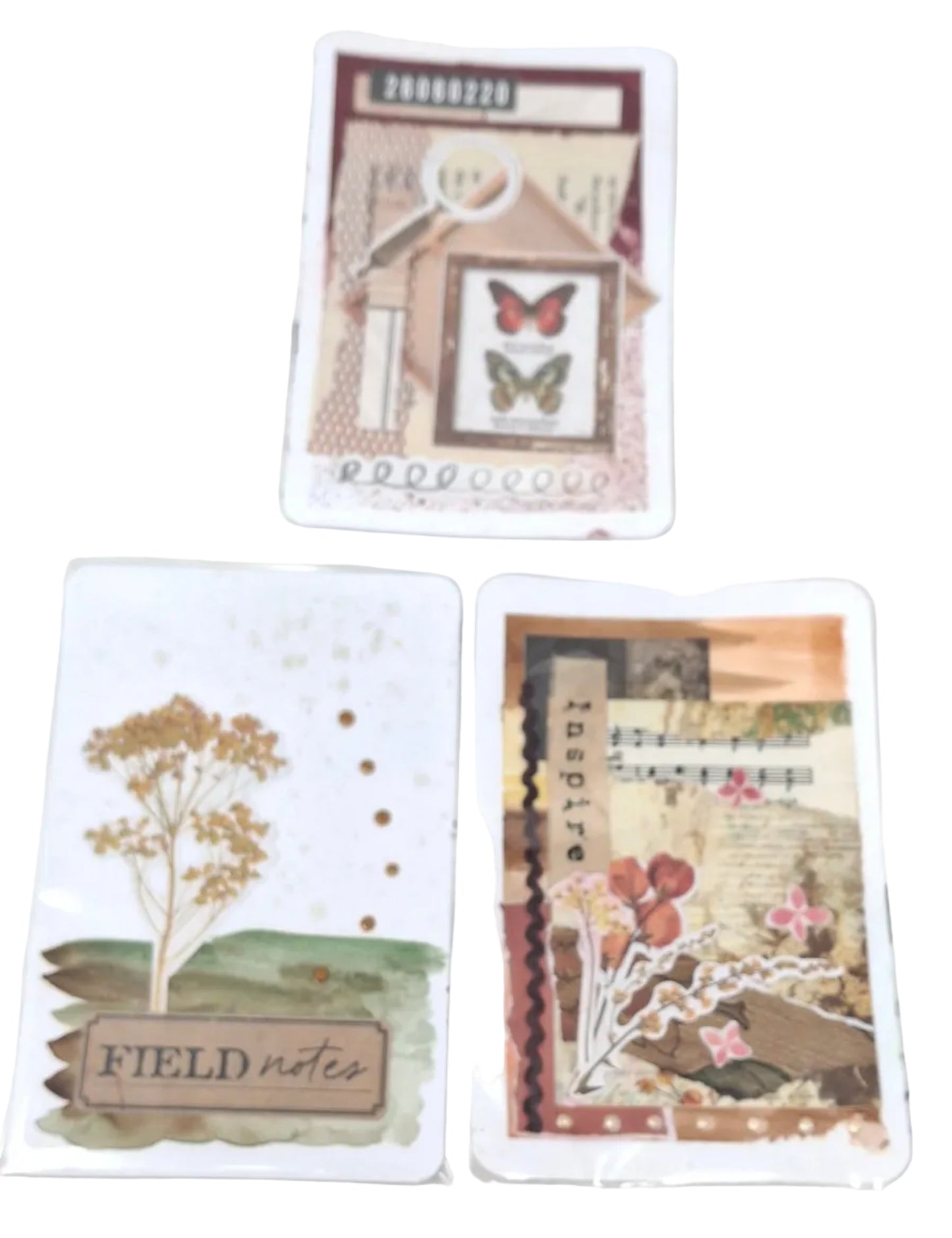 Warm Summer Postcards