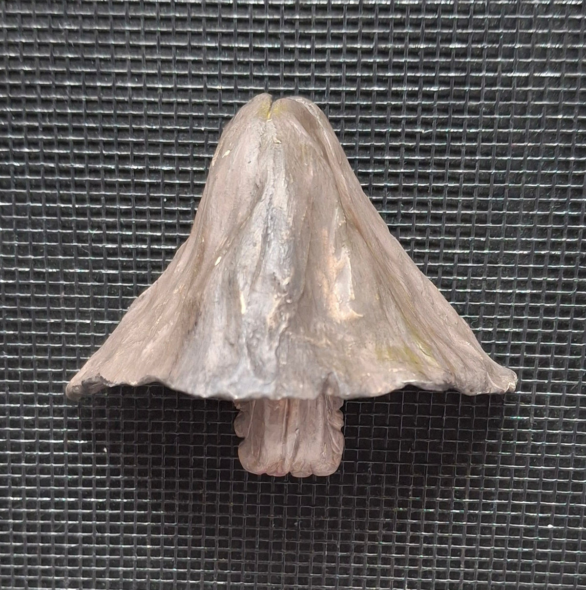 Mushroom Magnets