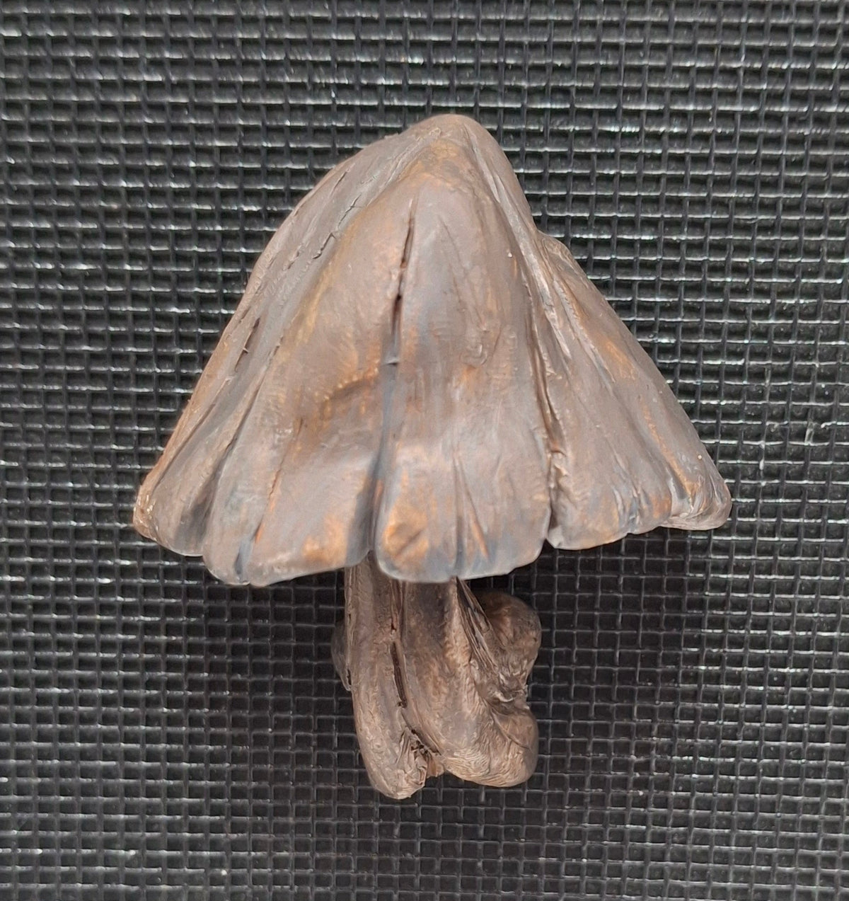 Mushroom Magnets